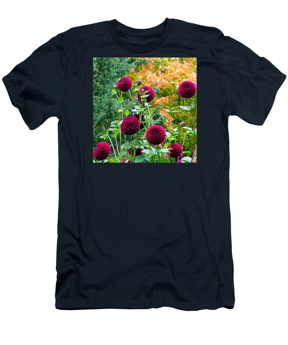 Scenic Minnesota 9 T-Shirt featuring the photograph Scenic Minnesota 9 by Will Borden