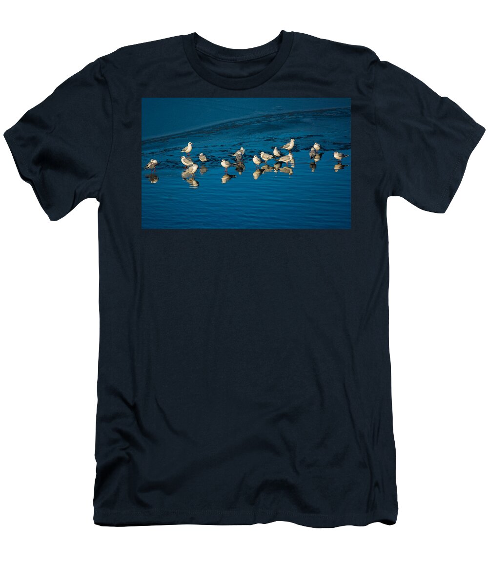 Animal T-Shirt featuring the photograph Seagulls On Frozen Lake by Andreas Berthold