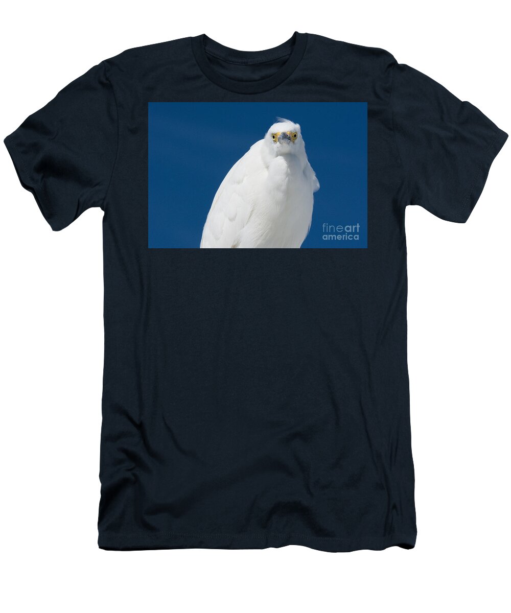  Egret T-Shirt featuring the photograph Snowy Egret - Fort DeSoto Park No. 1 by John Greco