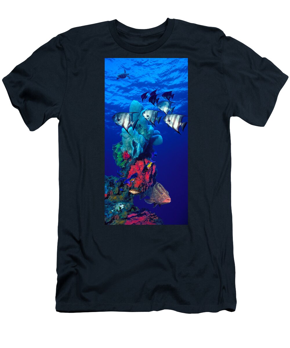 Photography T-Shirt featuring the photograph Spadefishes With Nassau Grouper by Panoramic Images