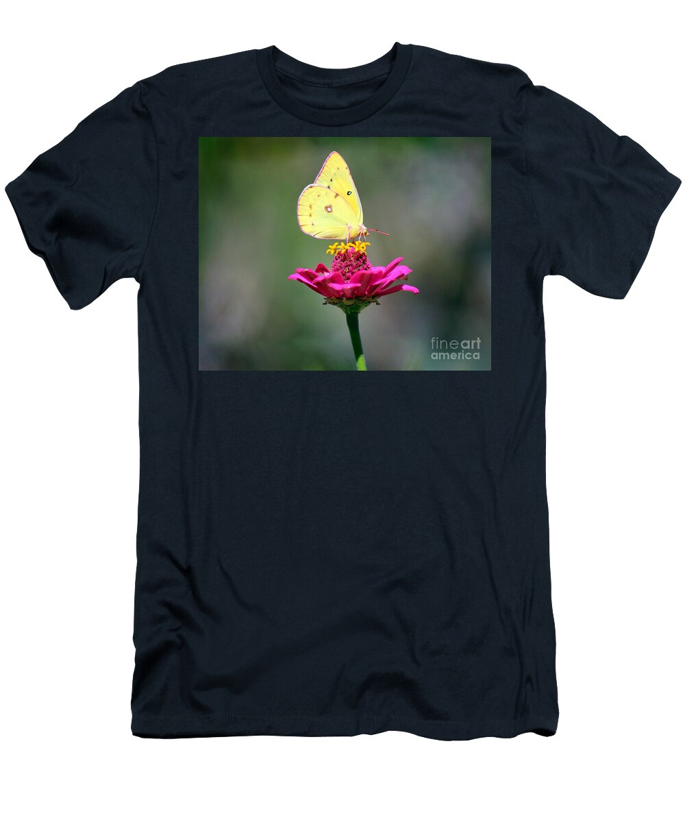 Pink T-Shirt featuring the photograph Sulphur Butterfly on Pink Zinnia by Karen Adams