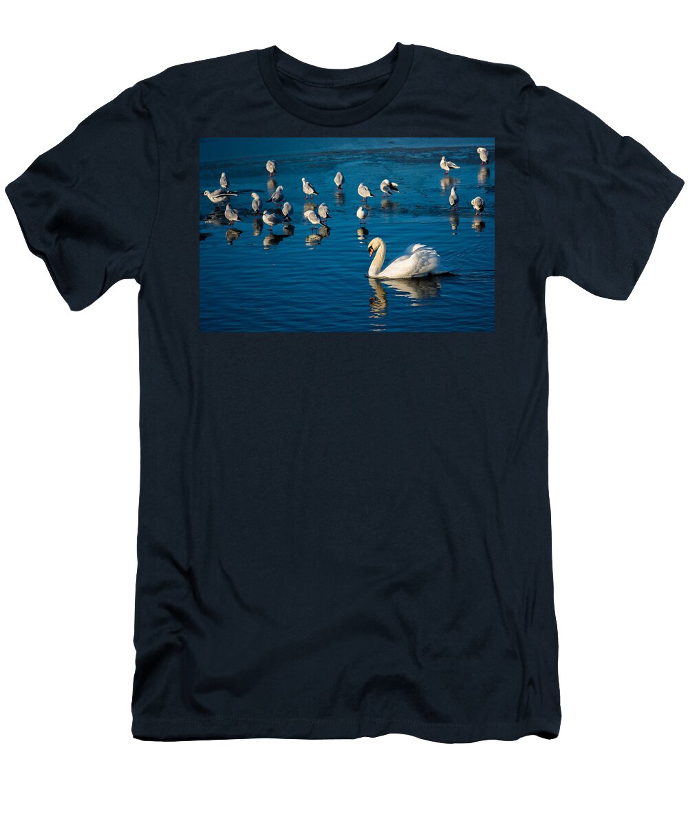 Seagulls T-Shirt featuring the photograph Swan And Seagulls On Frozen Lake by Andreas Berthold
