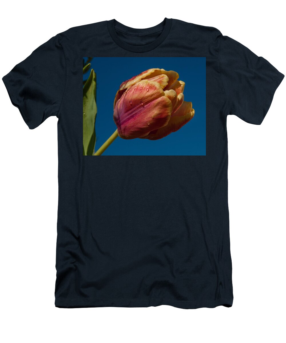 Tulip T-Shirt featuring the photograph The storm is over by Robert L Jackson