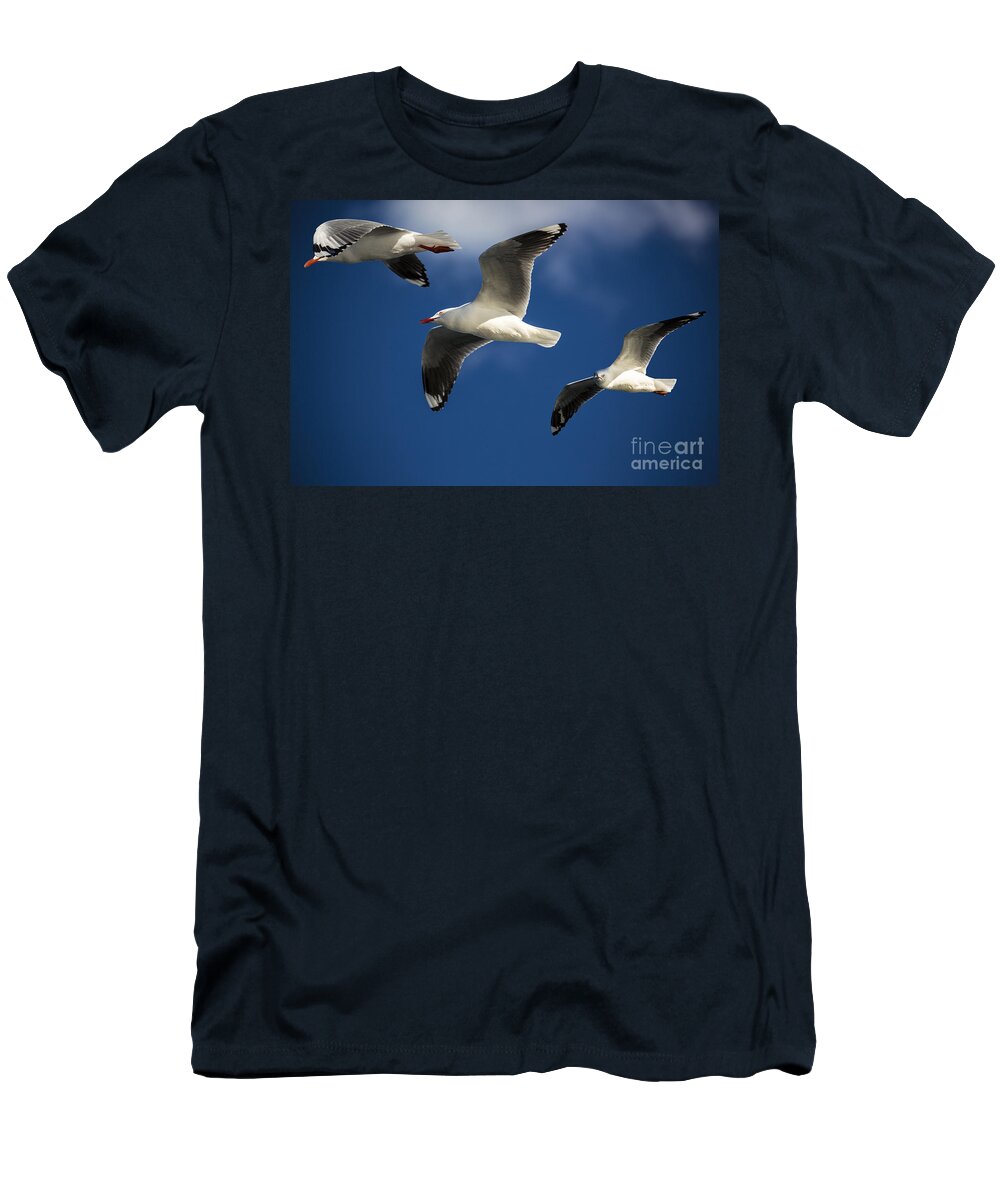 Silver Gulls T-Shirt featuring the photograph Three silver gulls in flight by Sheila Smart Fine Art Photography
