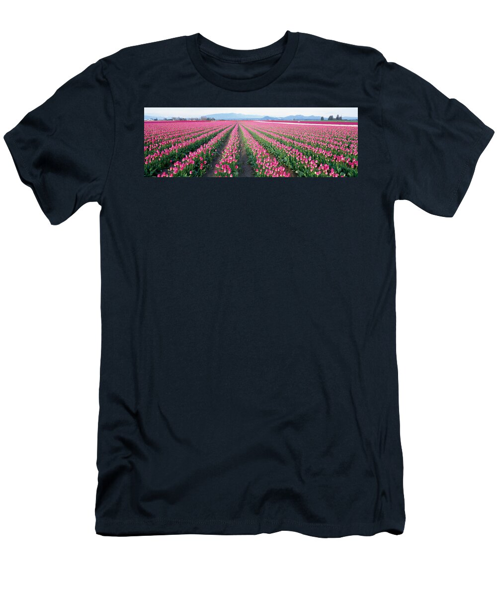 Photography T-Shirt featuring the photograph Tulip Fields, Skagit County, Washington by Panoramic Images