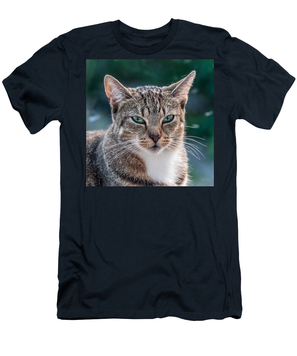 Cat T-Shirt featuring the photograph Tyger waiting to get in part 1 by Alex Hiemstra