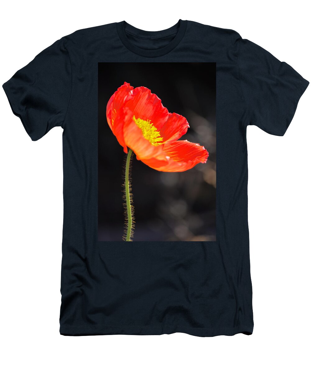 Poppy T-Shirt featuring the photograph Vibrant Beauty by Deb Halloran