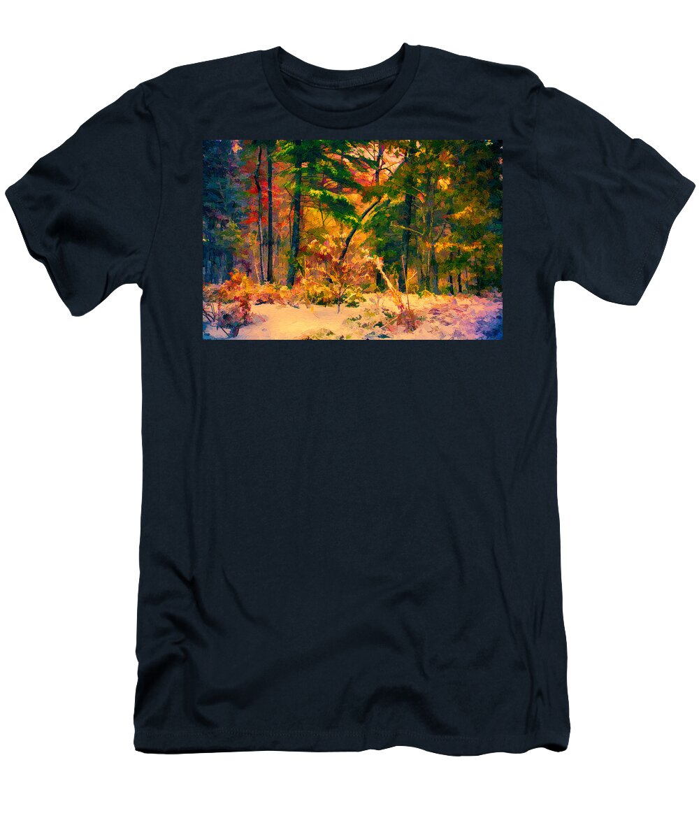 Appalachian Mountains T-Shirt featuring the painting When Fall Becomes Winter by John Haldane
