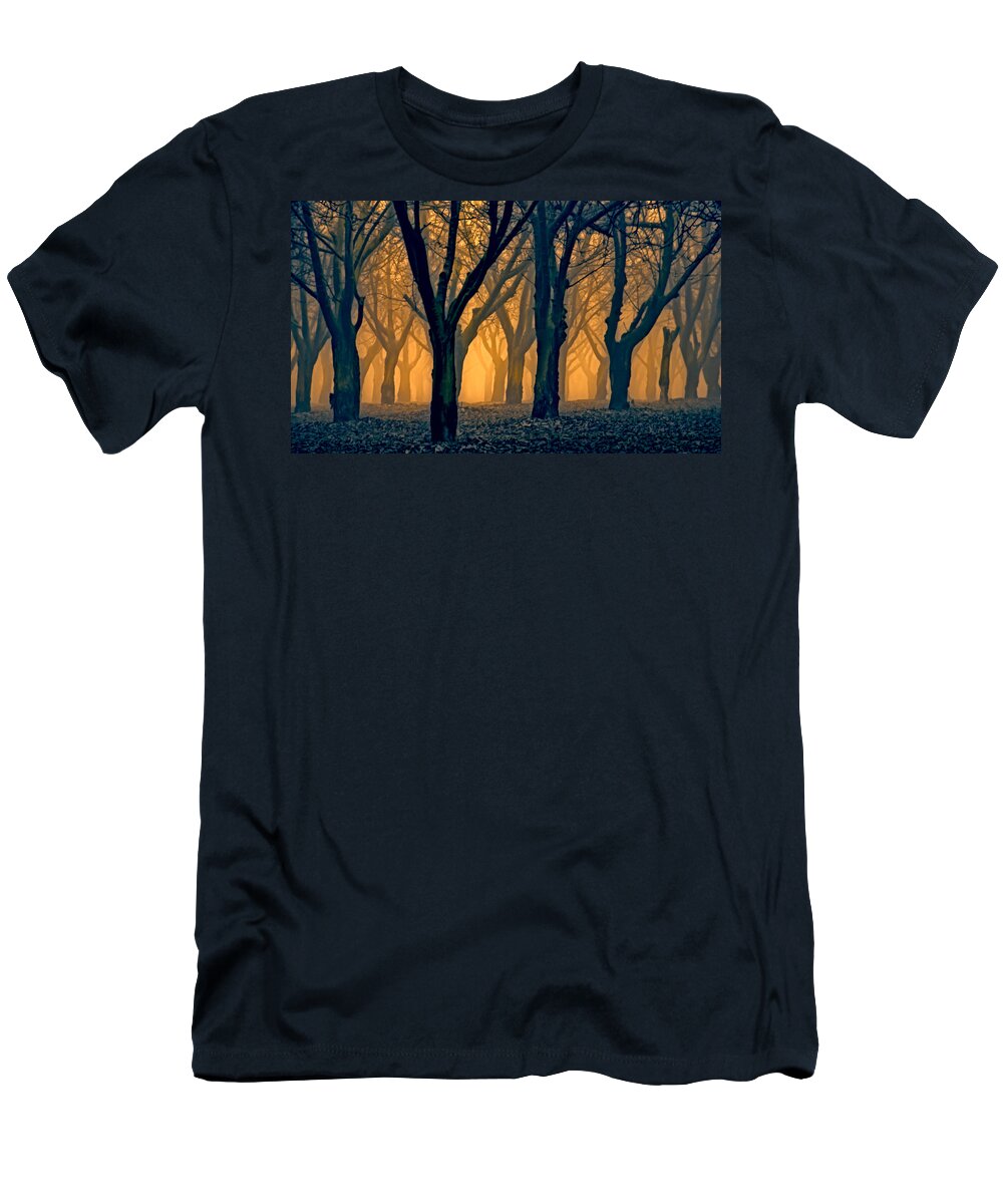 Pasture T-Shirt featuring the photograph Woods Aglow by Don Schwartz