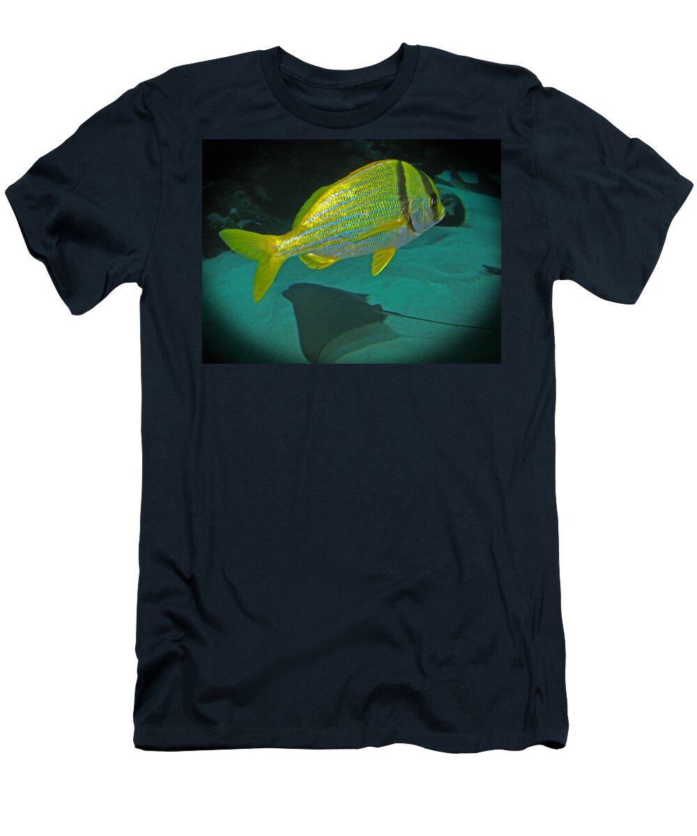 Yellow_fish T-Shirt featuring the photograph Yellow Striped Fish by Connie Fox