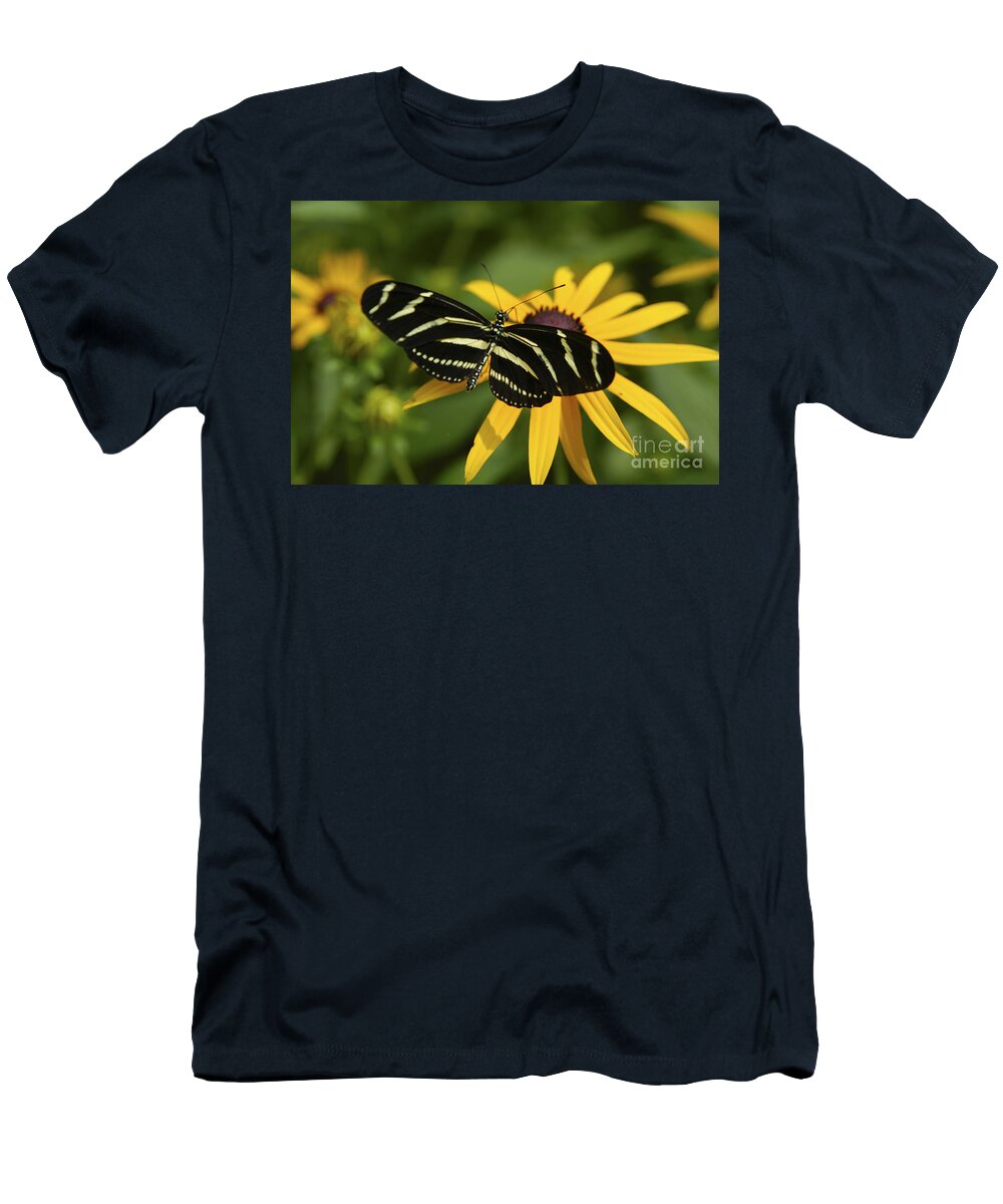 Butterfly T-Shirt featuring the photograph Zebra Butterfly by Anthony Sacco