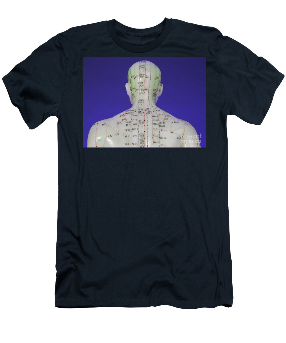 Acupuncture Body Model T-Shirt featuring the photograph Acupuncture Model #13 by Photo Researchers, Inc.