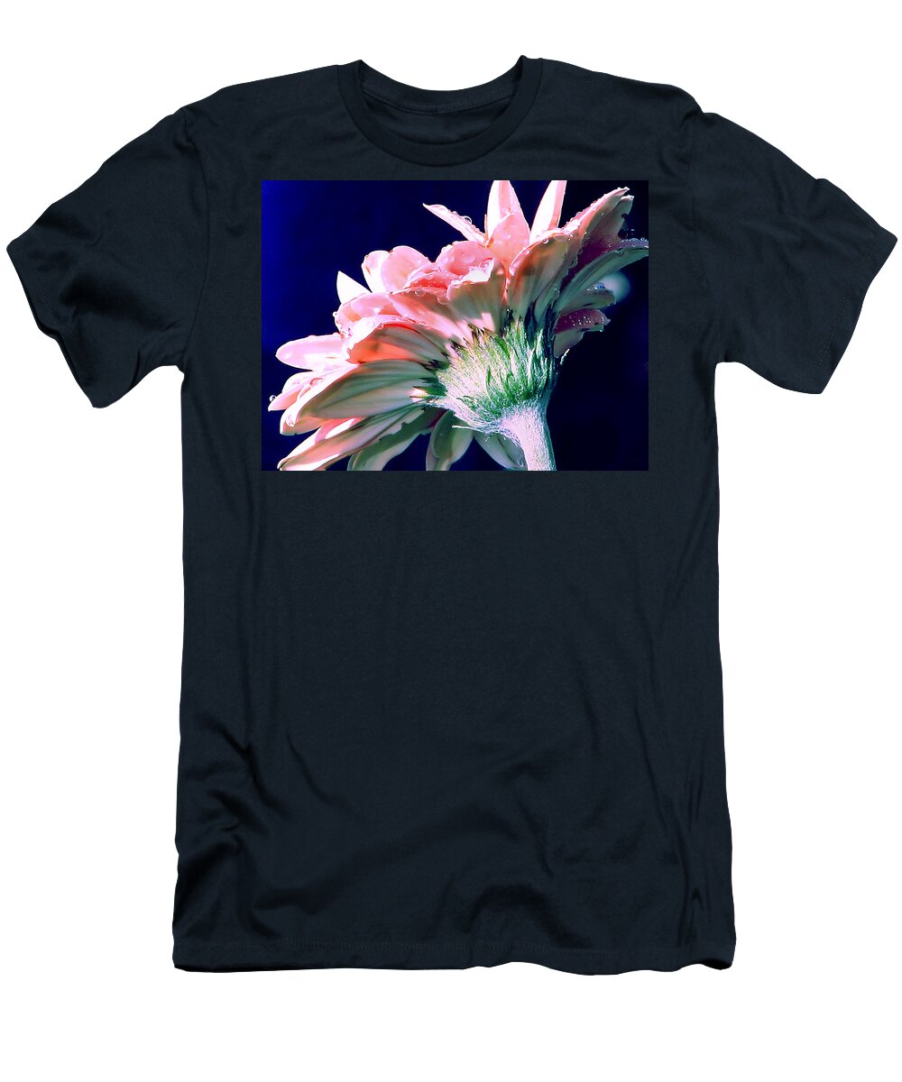 Gerbera Daisy T-Shirt featuring the photograph Bathing In Moonlight by Rory Siegel