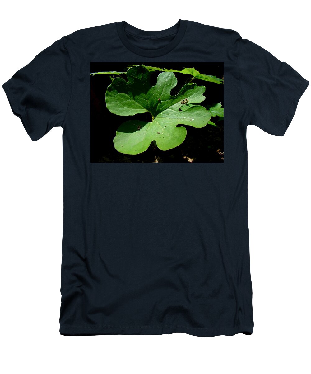 Wildflower T-Shirt featuring the photograph Bloodroot Leaf - Sanguinaria canadensis by Carol Senske