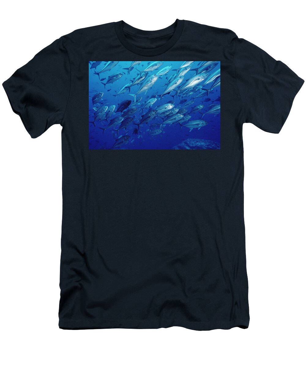 Mp T-Shirt featuring the photograph Cavalla Caranx Sp School Off Of Cocos by Flip Nicklin