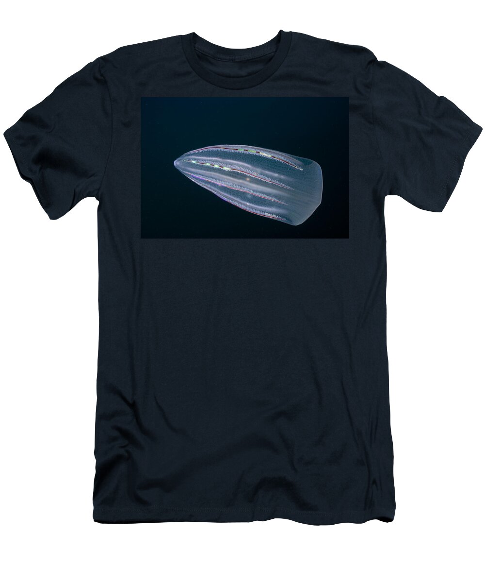 00445264 T-Shirt featuring the photograph Ctenophore Beroe Forskalii Nine Mile Bank by Richard Herrmann