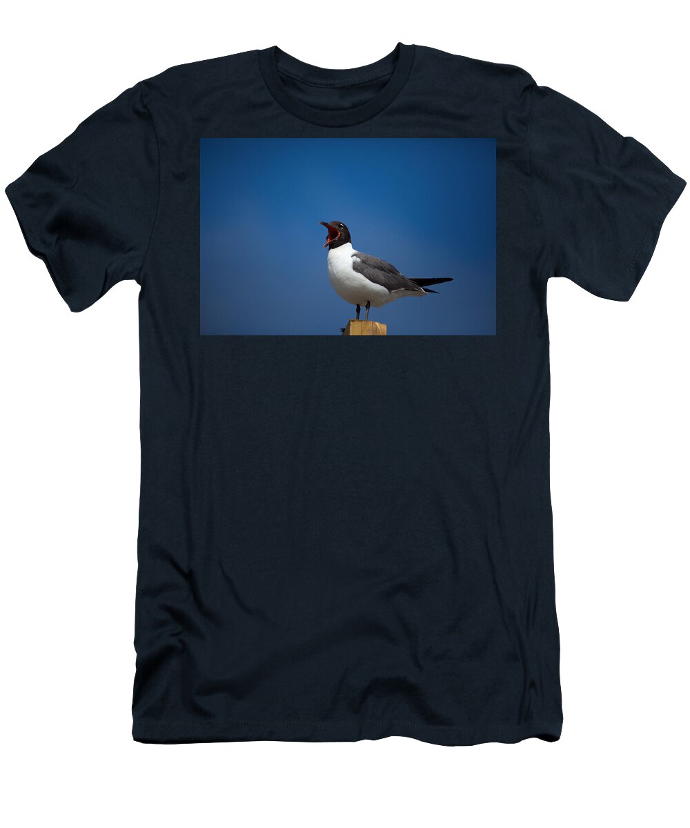 Gull T-Shirt featuring the photograph Laughing Gull by Karol Livote