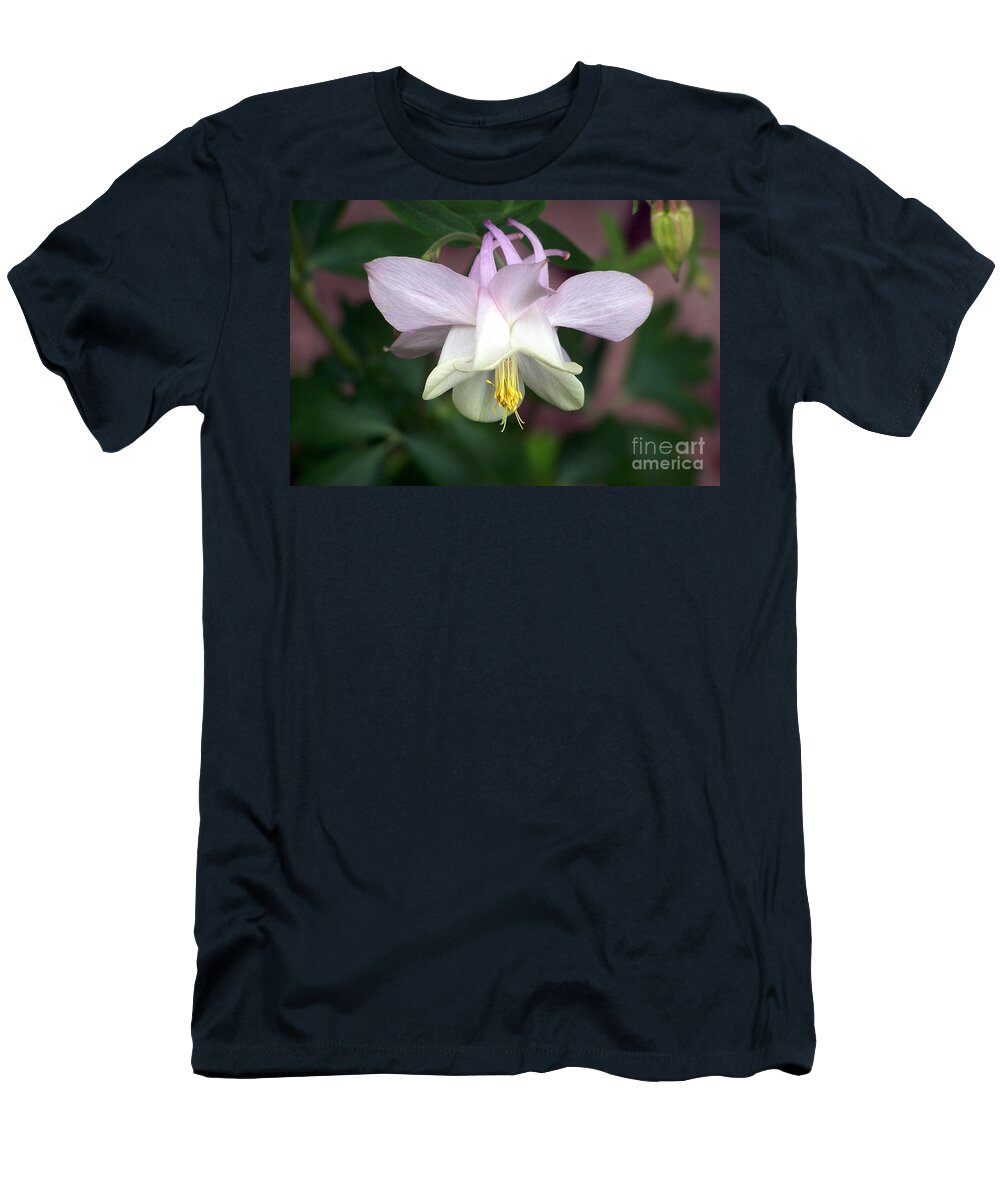 Columbine T-Shirt featuring the photograph Pink Perfection by Dorrene BrownButterfield