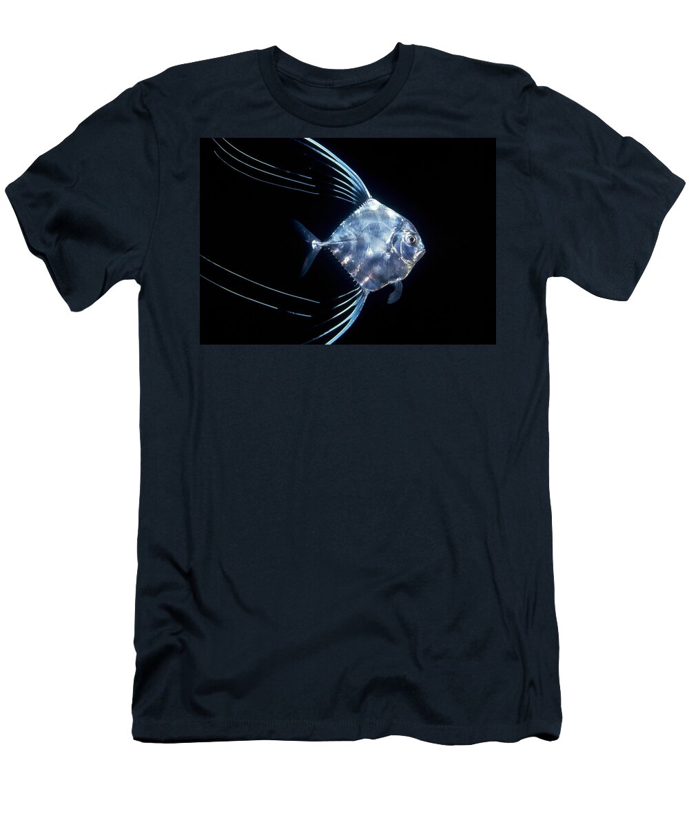 00106463 T-Shirt featuring the photograph Pompano Juvenile Off Manualita Island by Flip Nicklin