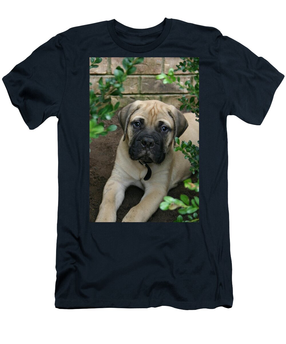 Animal T-Shirt featuring the photograph Puppy by Kelly Hazel