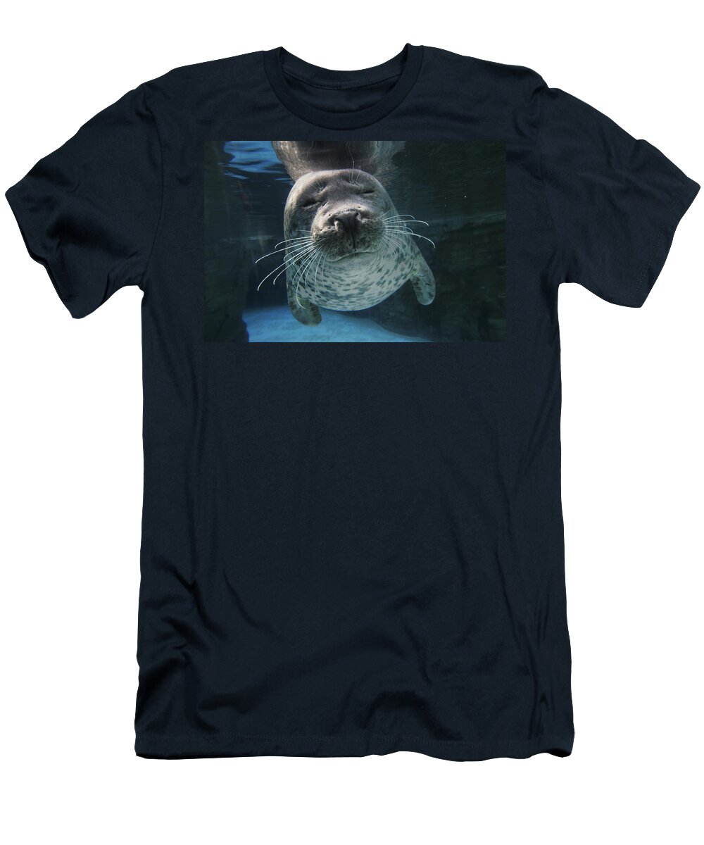 Mp T-Shirt featuring the photograph Spotted Seal Phoca Largha, Japan by Hiroya Minakuchi