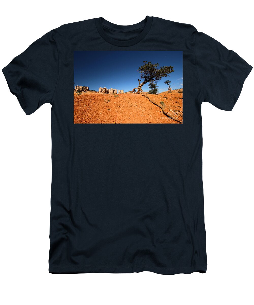 Bryce Canyon National Park T-Shirt featuring the photograph Stretch by Adam Jewell