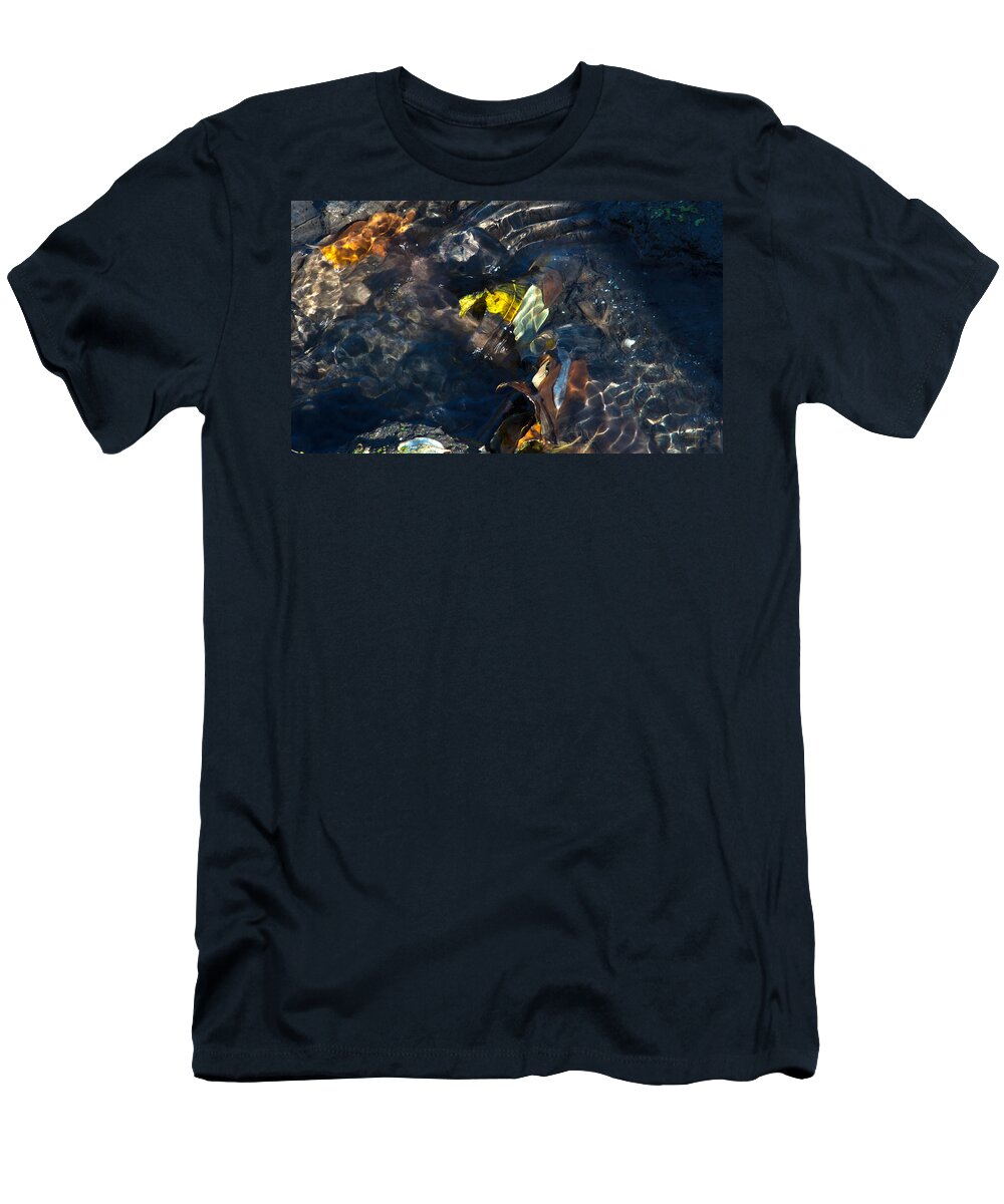 Autumn T-Shirt featuring the photograph Sun Water Leaves and Mud by Ed Peterson