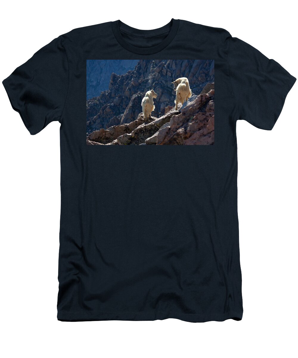 Mountain Goats; Posing; Group Photo; Baby Goat; Nature; Colorado; Crowd; Nature; T-Shirt featuring the photograph The Mountaineers by Jim Garrison