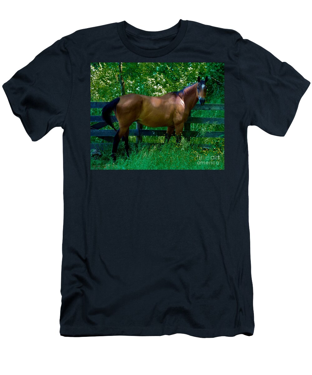 Horse T-Shirt featuring the photograph Who you looking at by Mark Dodd