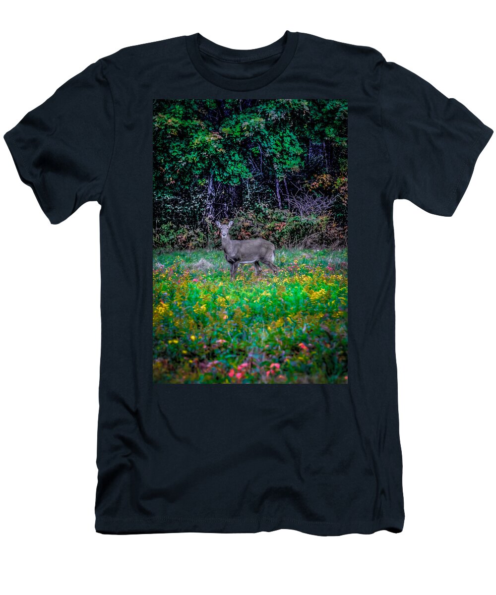  T-Shirt featuring the photograph Evening Out by David Henningsen