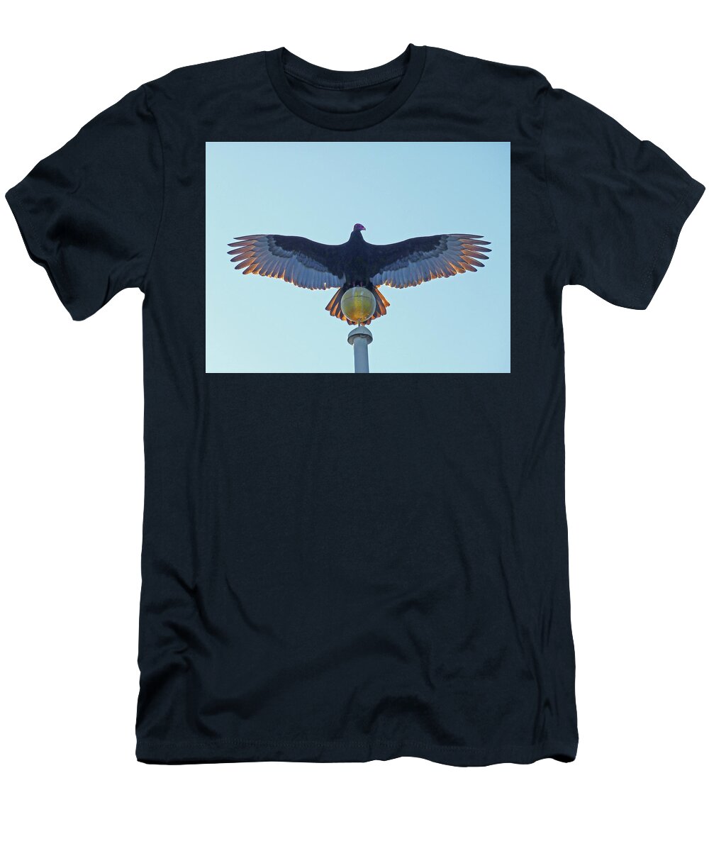 Turkey Vulture T-Shirt featuring the photograph DB6347 Turkey Vulture on our Flagpole #1 by Ed Cooper Photography