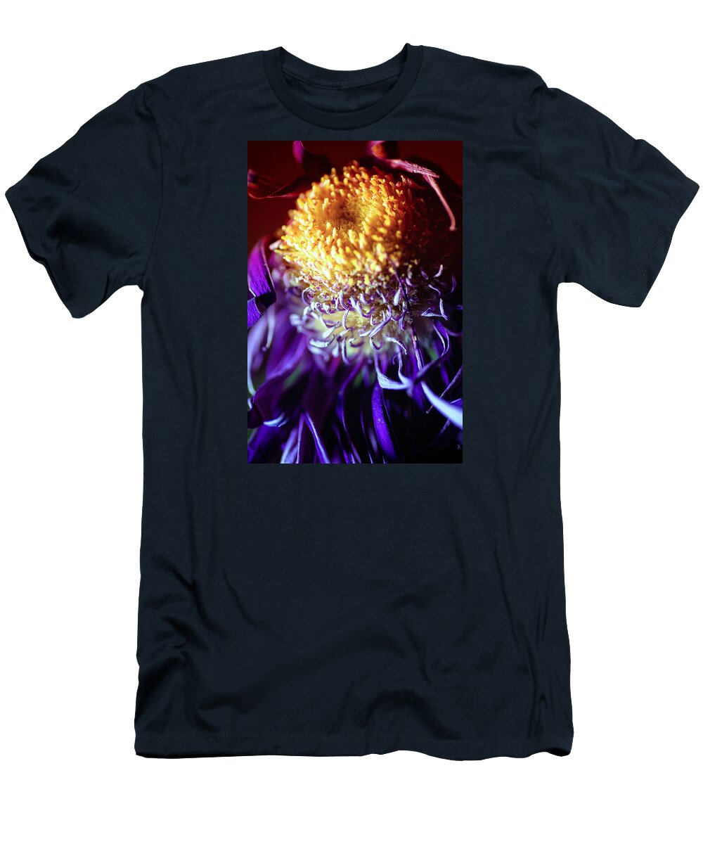Chrysanthemum T-Shirt featuring the photograph Dying Purple Chrysanthemum Flower Background #1 by John Williams