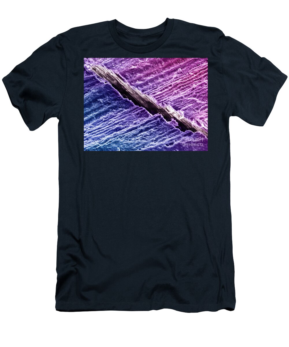 Dentine T-Shirt featuring the photograph Human Tooth Dentine, Sem #4 by Ted Kinsman