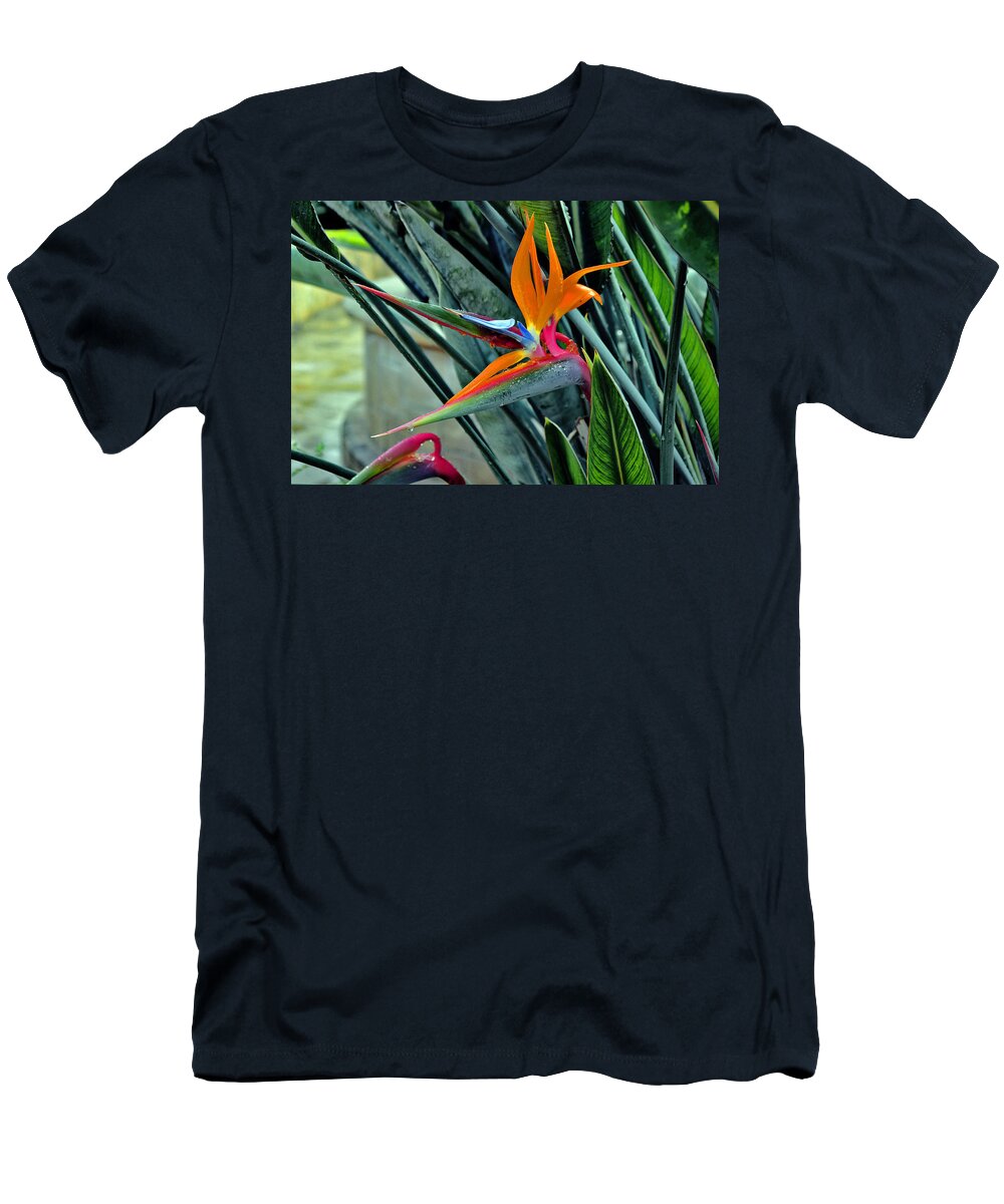 Strelitzia T-Shirt featuring the photograph Strelitzia #1 by Andy i Za