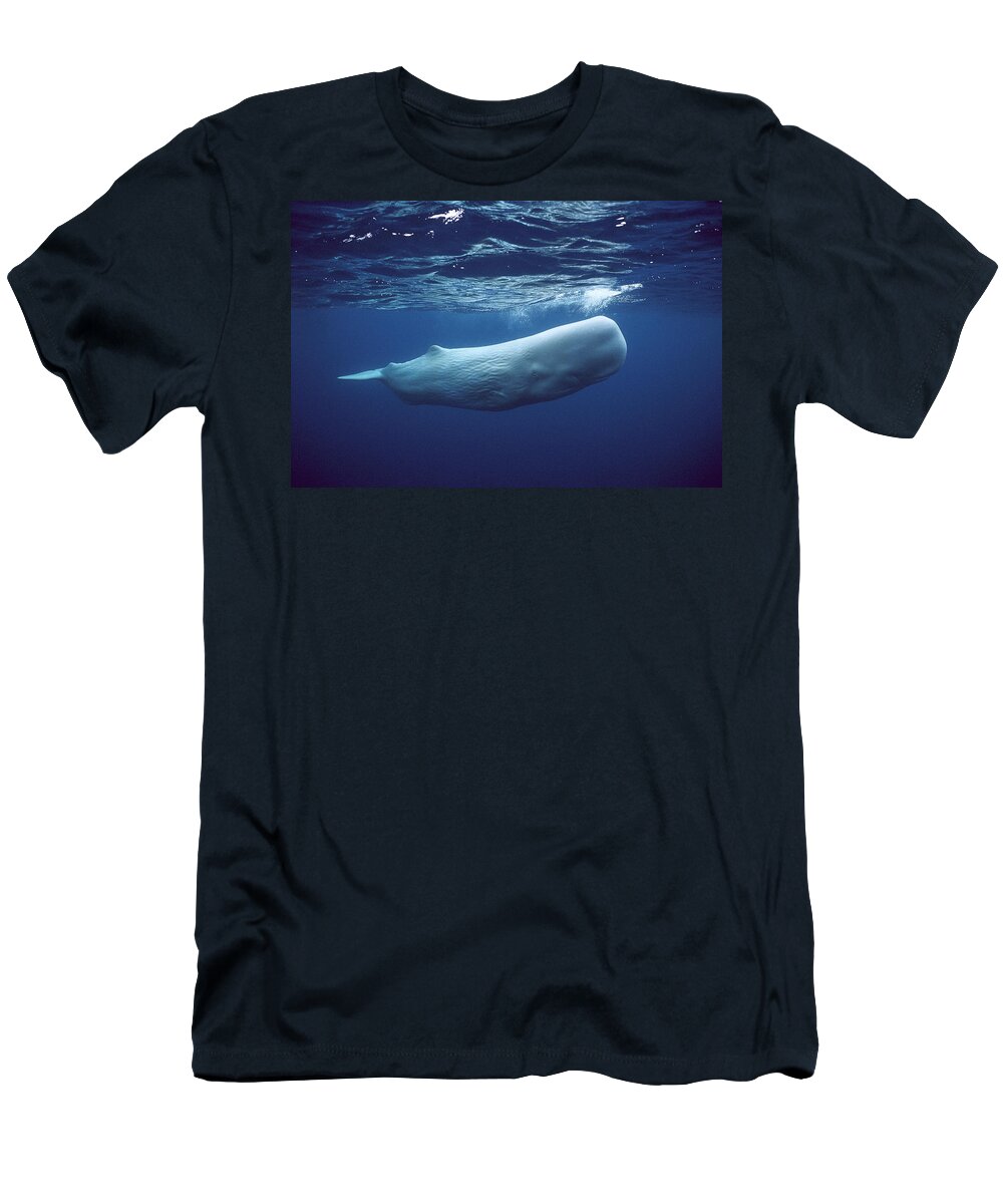 00270022 T-Shirt featuring the photograph White Sperm Whale by Hiroya Minakuchi