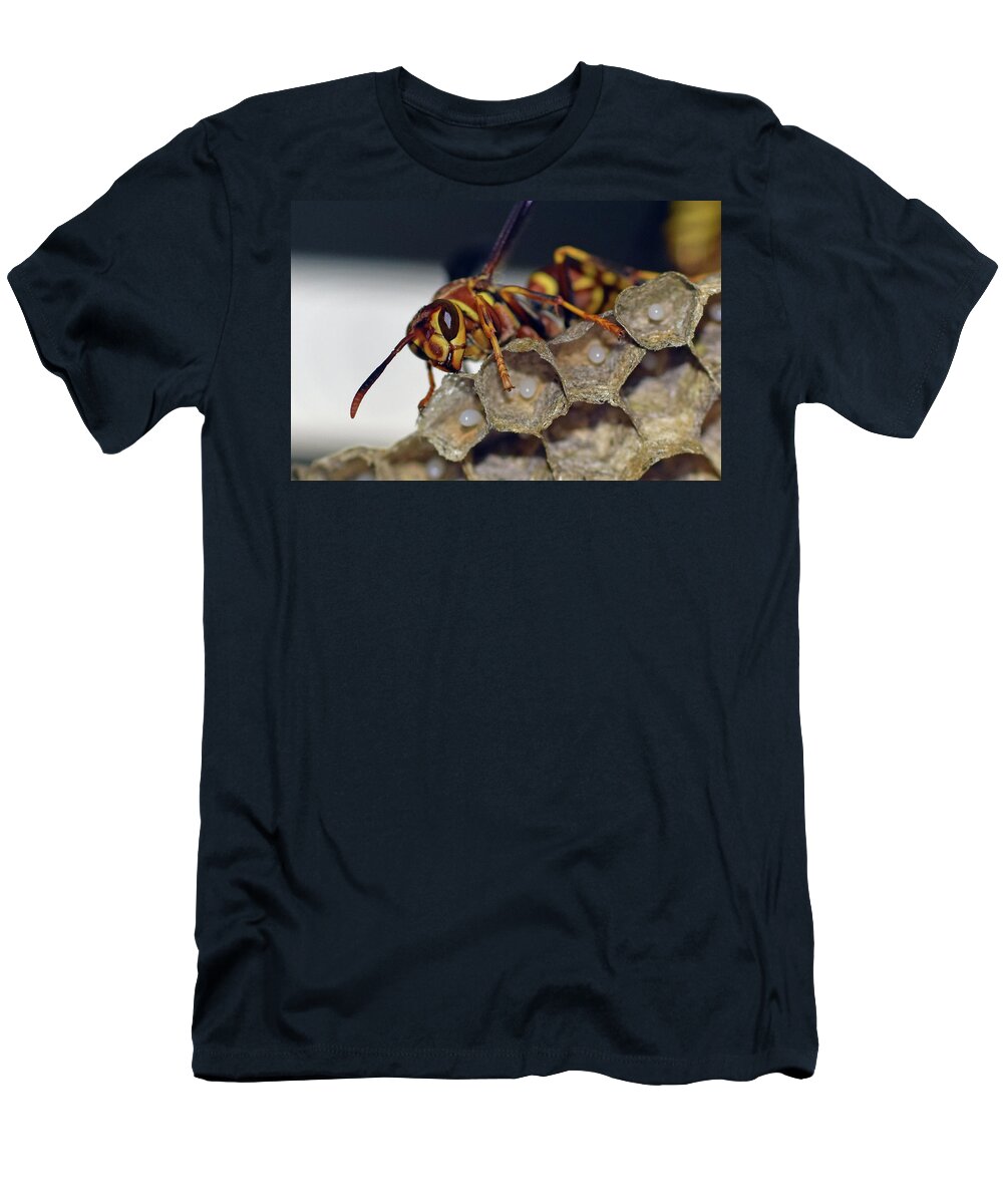 Photograph T-Shirt featuring the photograph Paper Wasp #3 by Larah McElroy