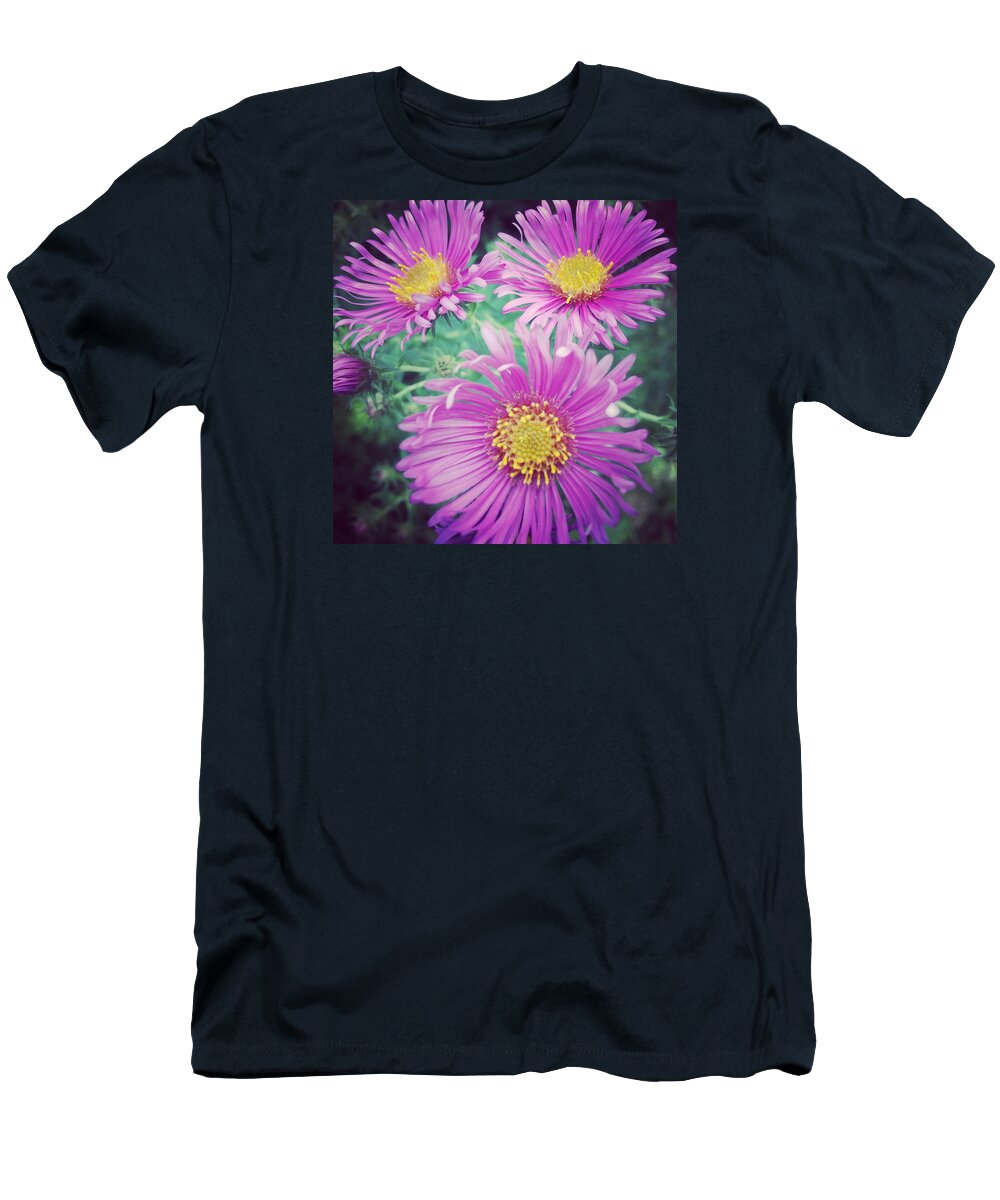 Aster T-Shirt featuring the photograph Aster by Jeff Klingler