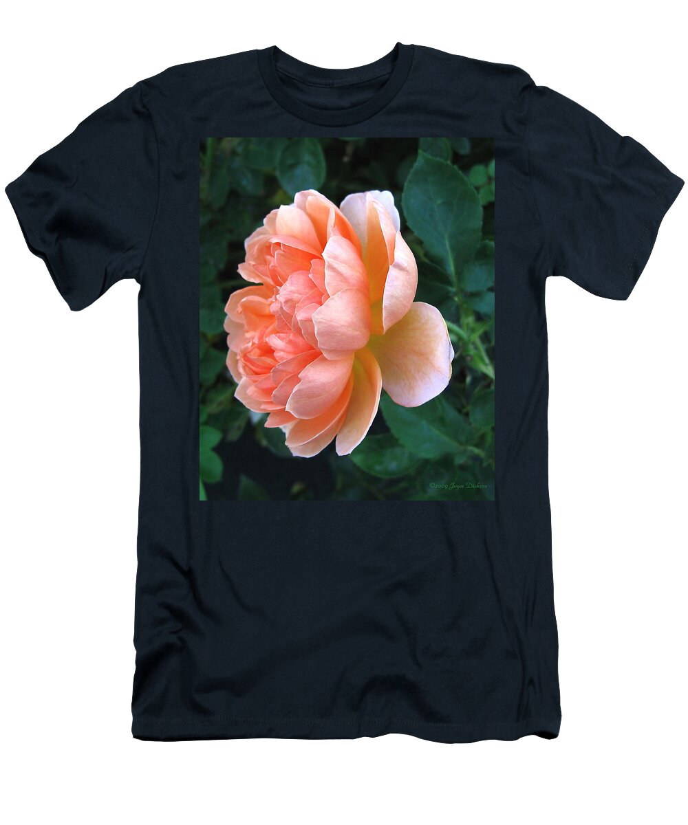 Rose T-Shirt featuring the photograph August Rose 09 by Joyce Dickens