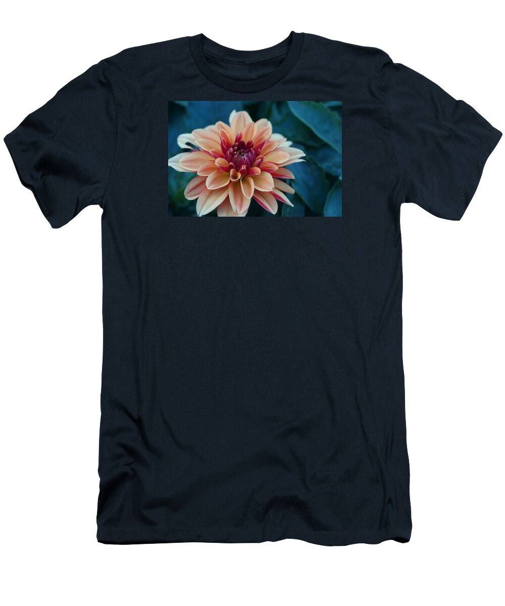 Flowers T-Shirt featuring the photograph Beautiful Dahlia 4 by Dimitry Papkov