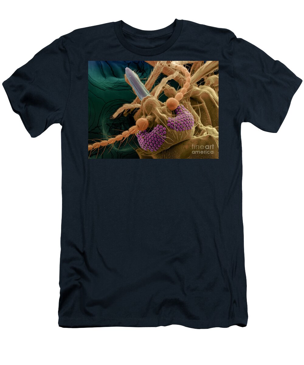 Insect T-Shirt featuring the photograph Bitting Midge, Sem by Ted Kinsman