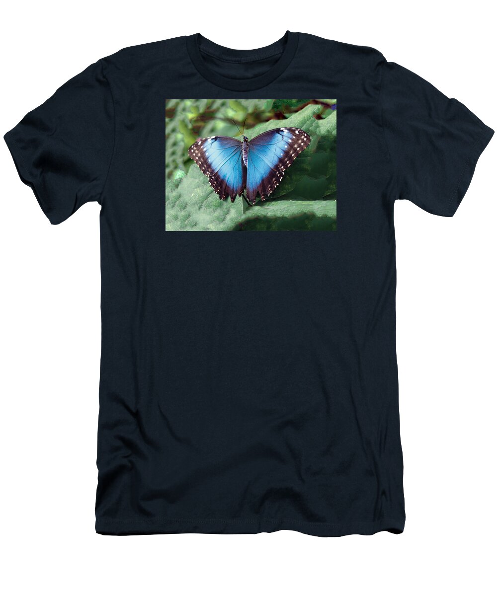Butterfly T-Shirt featuring the photograph Blue Morpho Butterfly by William Bitman