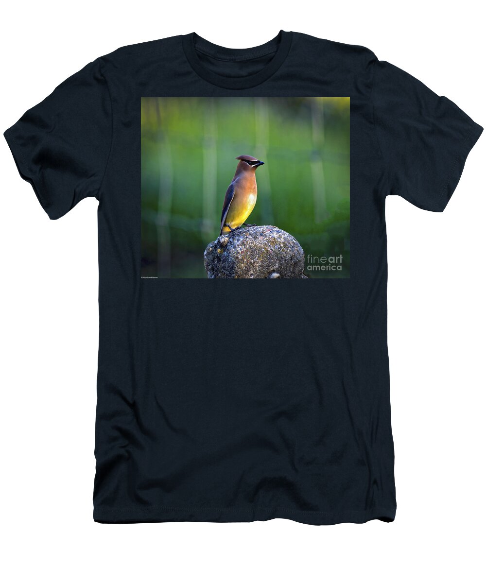  T-Shirt featuring the photograph Cedar Waxwing by Mitch Shindelbower