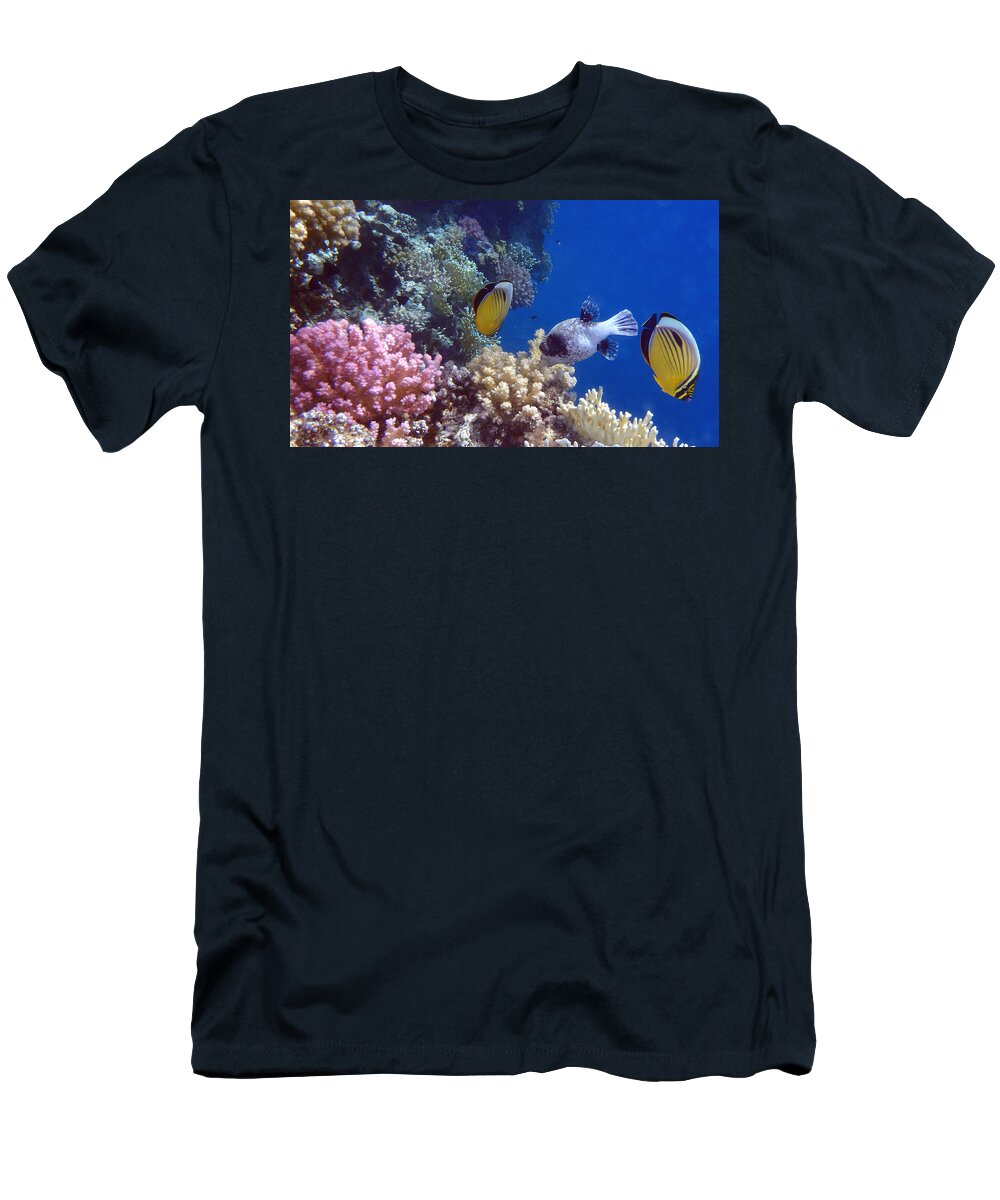red sea t shirt