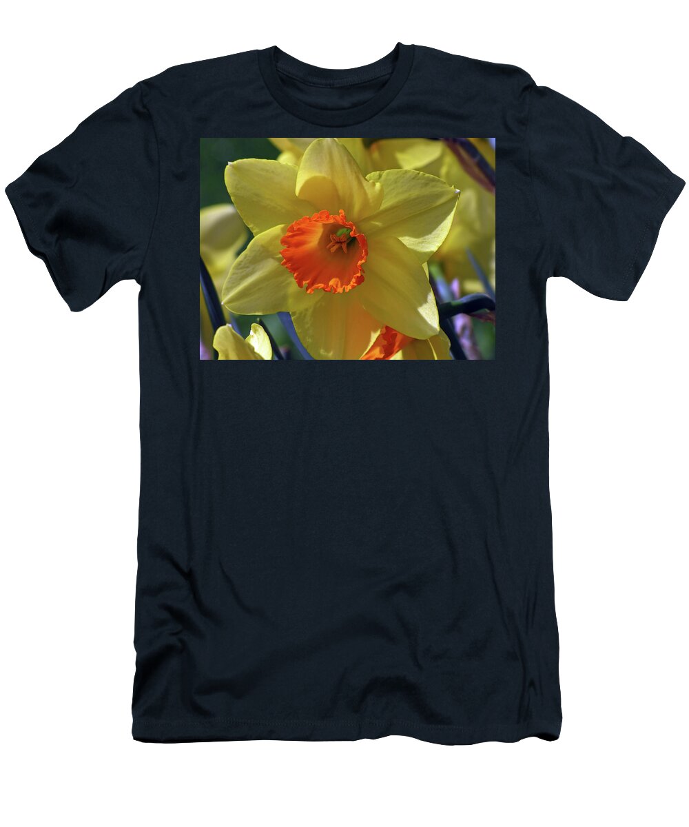 Floral T-Shirt featuring the mixed media Daffodil Brilliance by Lynda Lehmann