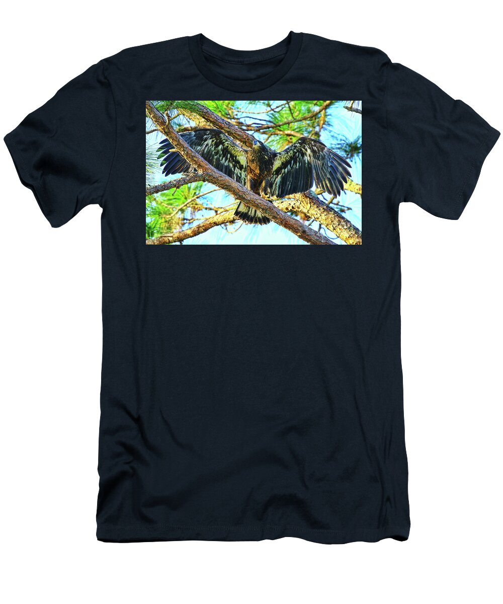 Eagle T-Shirt featuring the photograph Eagle Fledgling II 2017 by Deborah Benoit