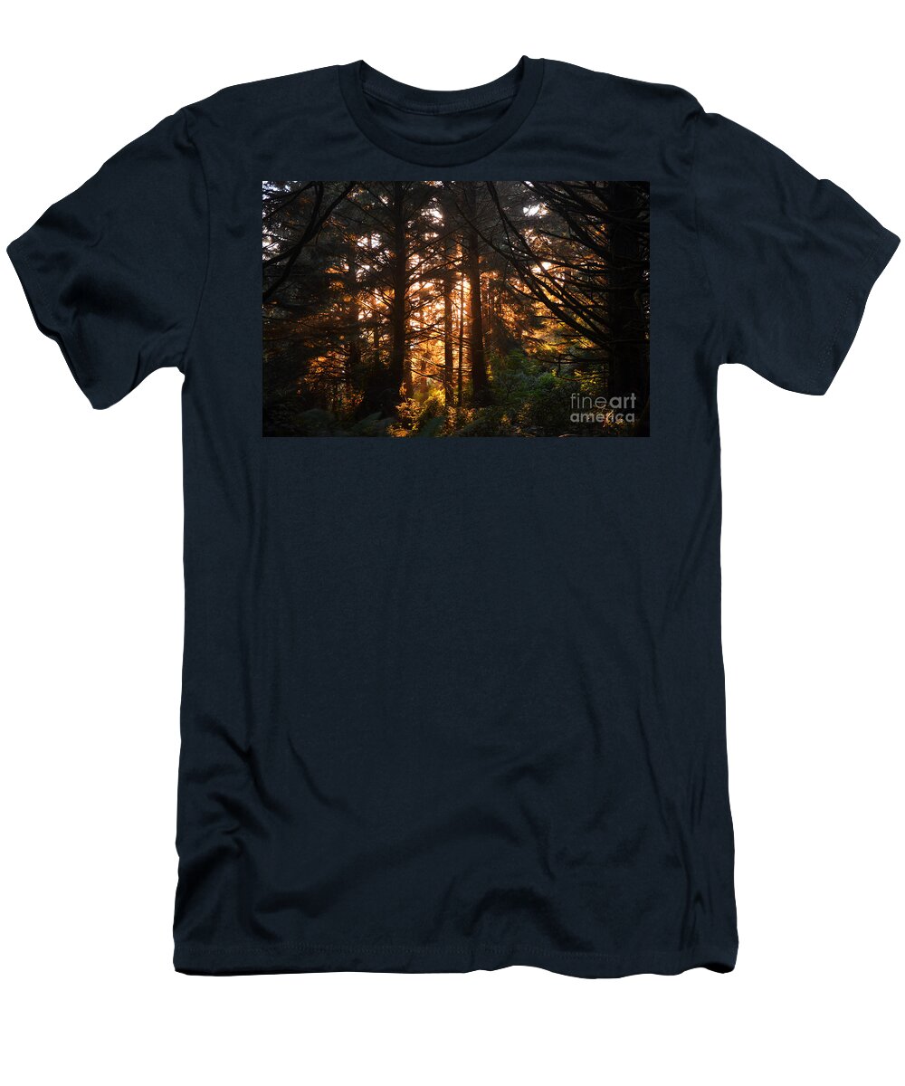 Trees T-Shirt featuring the photograph Enchanted Forest by Frank Larkin