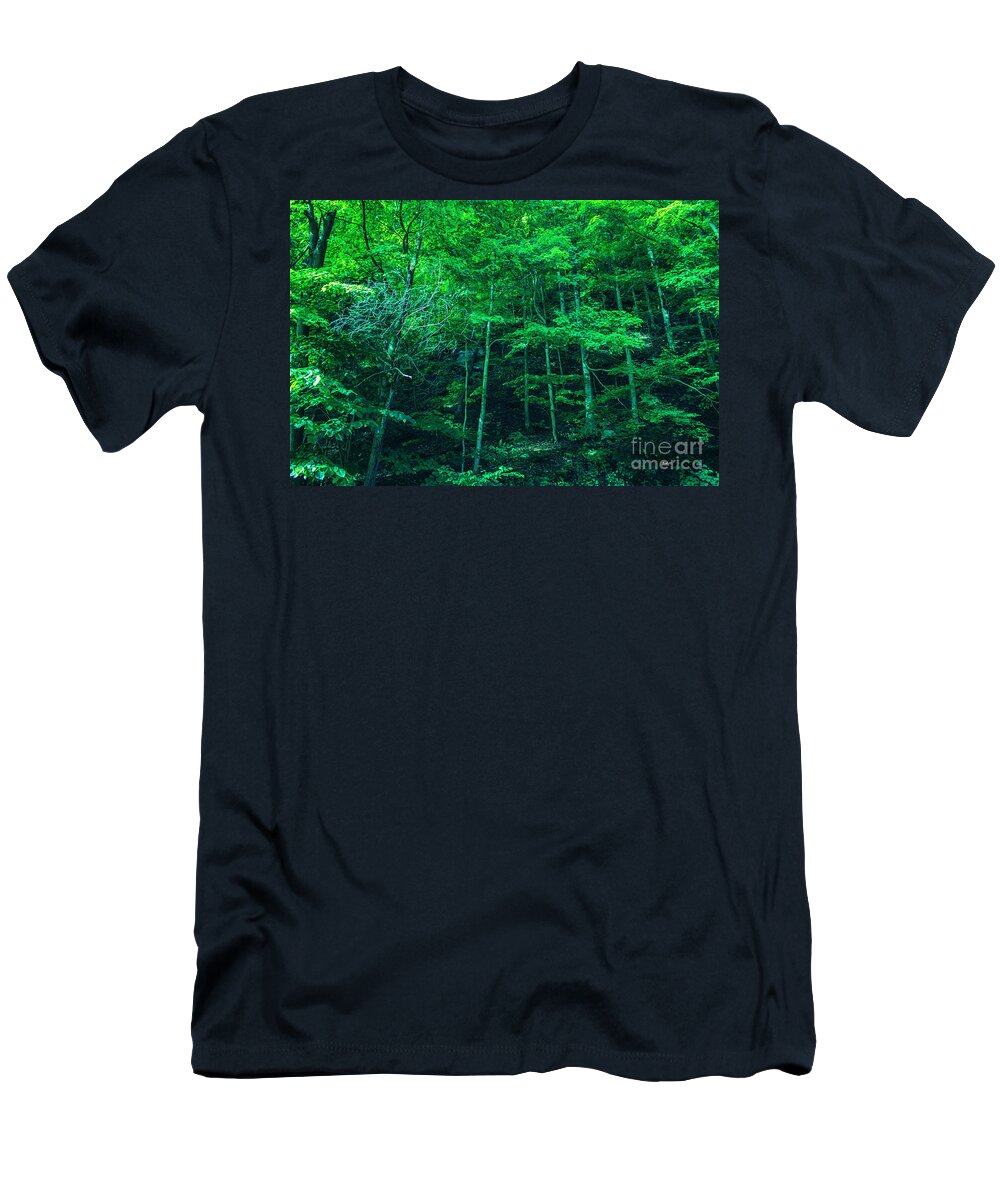 Enchanted T-Shirt featuring the photograph Enchanted Forest by Roberta Byram