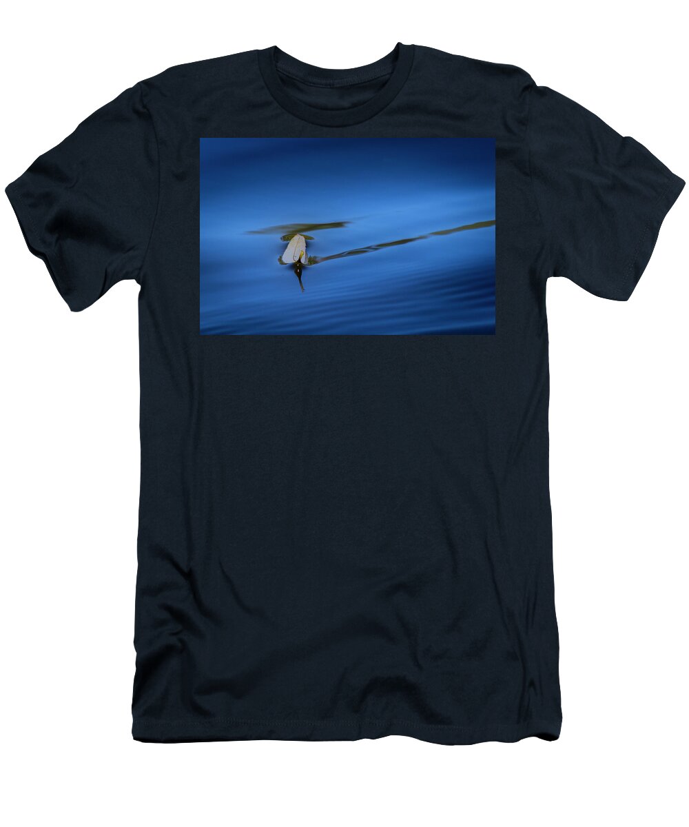 Fall T-Shirt featuring the photograph Floating by Allin Sorenson
