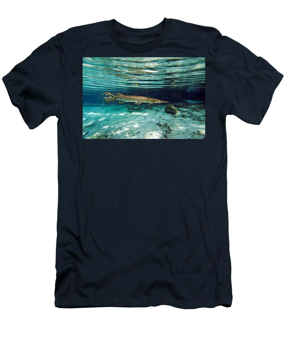Florida Gar Fish T-Shirt by David Courtenay - Fine Art America