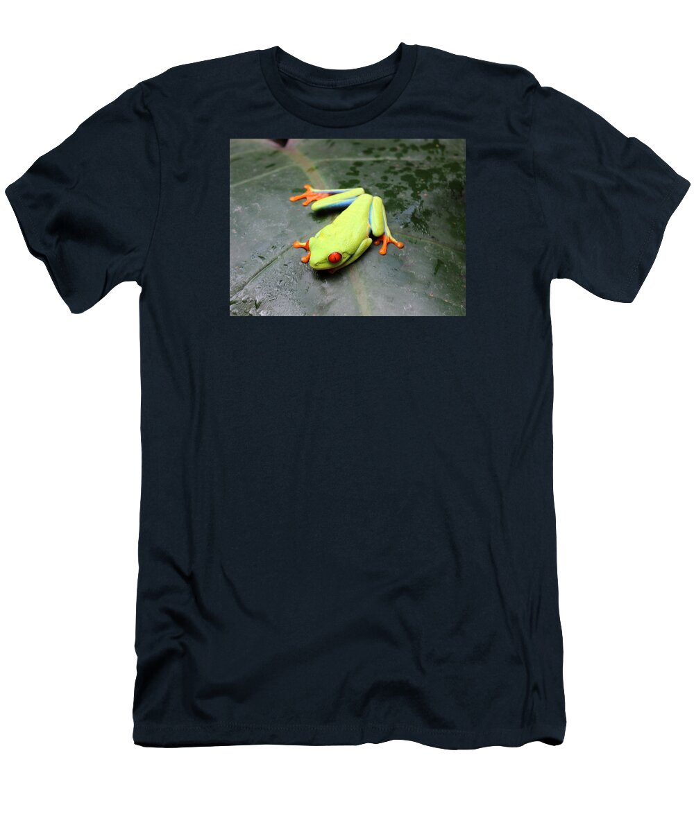Frog T-Shirt featuring the photograph Freddy 2 by Lorraine Baum